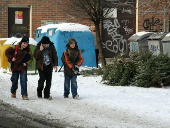 obrázek: Vánoční stromky mohou lidé položit vedle kontejnerů