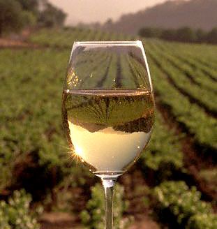 obrázek: Zámek Nebílovy zve na sobotní vinobraní