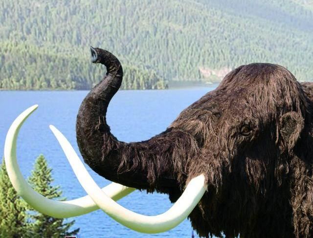 obrázek: V ZČM pokračuje výstava Doba ledová