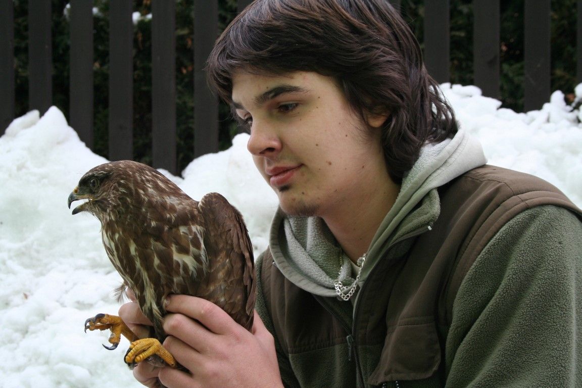 obrázek: Zvířecí záchranáři v Rokycanech pečují o káně i srny