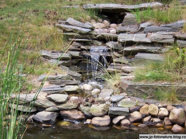 obrázek: Arboretum Sofronka zve ve čtvrtek na hrátky do lesa