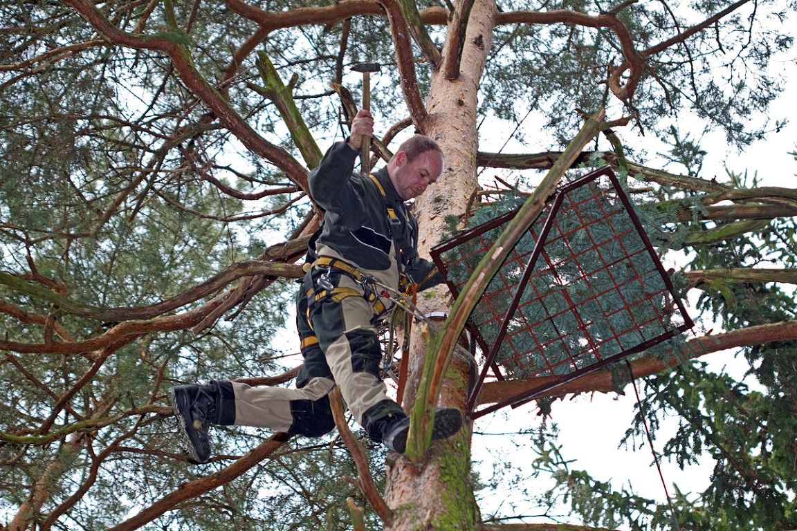 obrázek: Čapí pár u Vrčeně má připraveno nové hnízdo