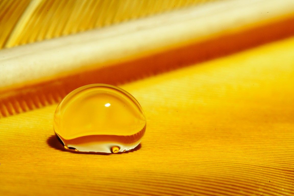 obrázek: Fotoiberoamérica putuje z Plzně do Regensburgu a Klatov