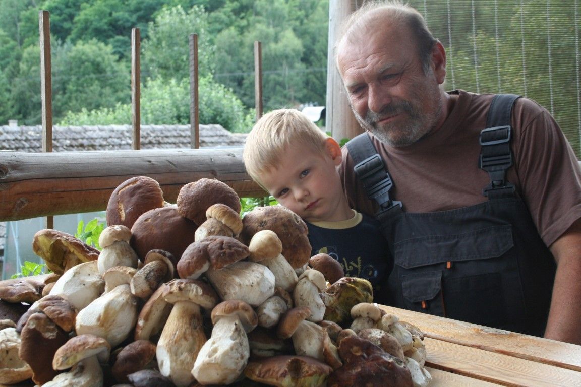 obrázek: Houby rostou i na Rokycansku, řidiči parkují v lesích