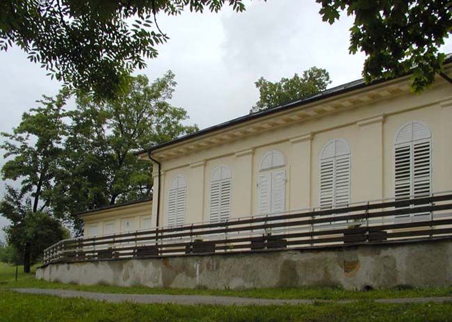 obrázek: Města budou zelenější díky grantu Stromy 2011 