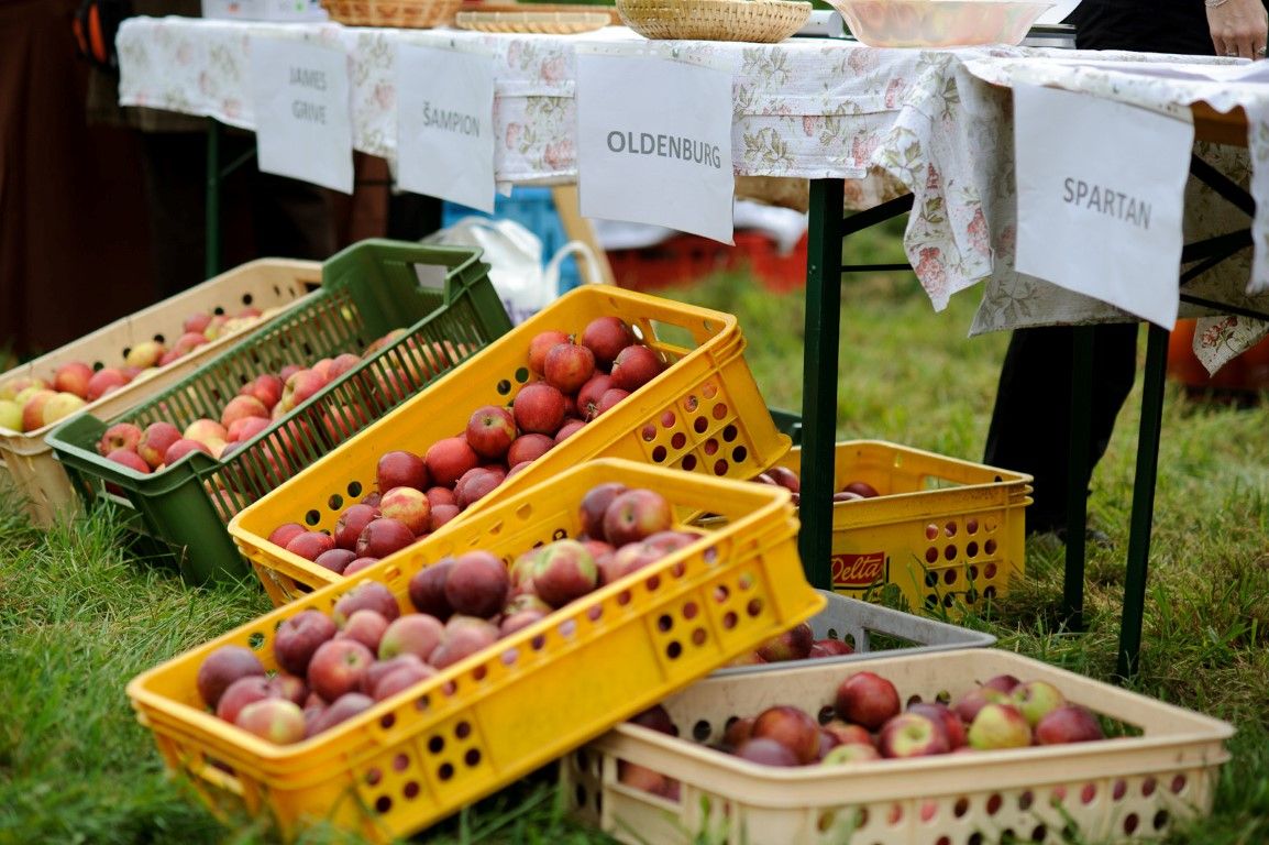obrázek: Na oživení kulturního života kraj rozdělí statisíce 