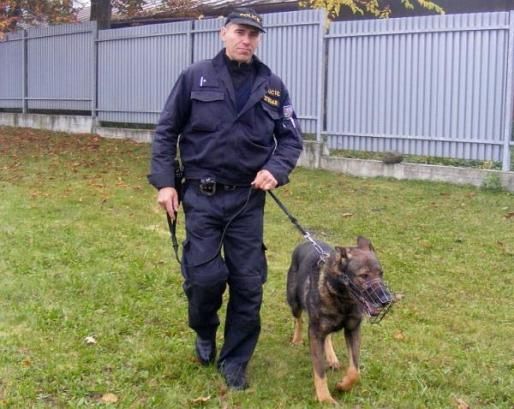 obrázek: Najít lup nebyl pro policejního psa problém