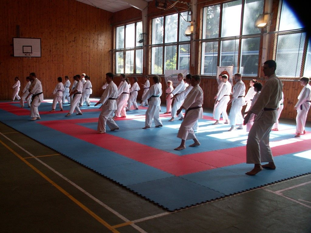 obrázek: Narama pořádala na Špičáku Letní školu karate