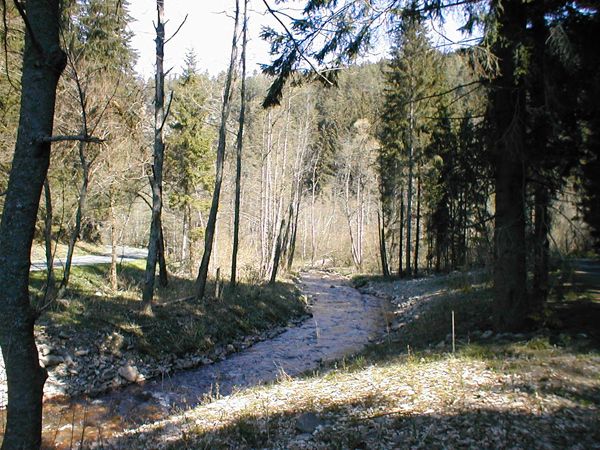 obrázek: Naučná stezka na Sušicku přibližuje dolování zlata