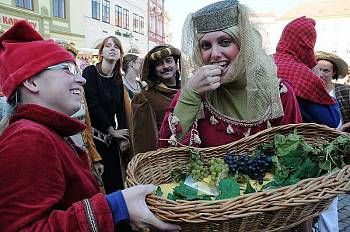 obrázek: Nebílovy zvou v sobotu na zámecké vinobraní