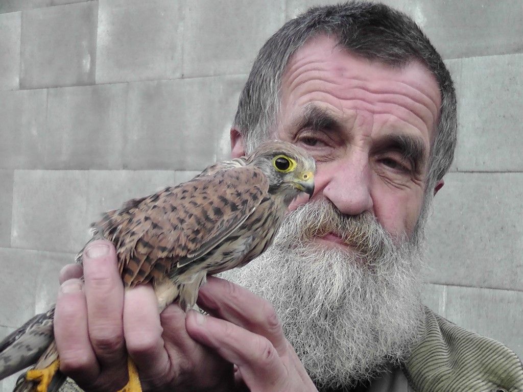 obrázek: NP Šumava otevírá stanici pro handicapovaná zvířata