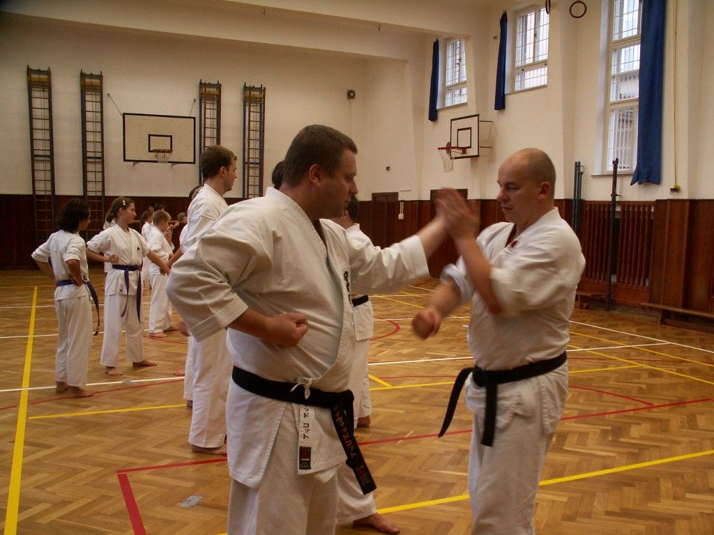 obrázek: Plzeň hostila 10. Mistrovství ČR Allkampf Jitsu ve Fightingu