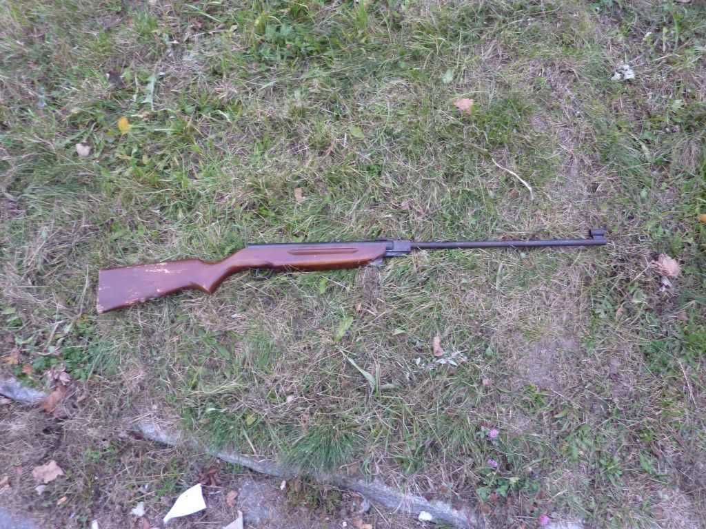 obrázek: Na Lochotíně našel v kontejneru zkorodovanou vzduchovku