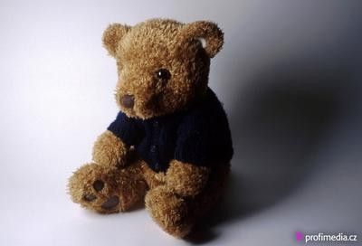 obrázek: Plzeňská Alfa vyzývá: Obětuj plyšáka divadlu!