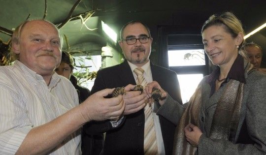 obrázek: Plzeňské zoo se podařilo odchovat poprvé želvy paprsčité