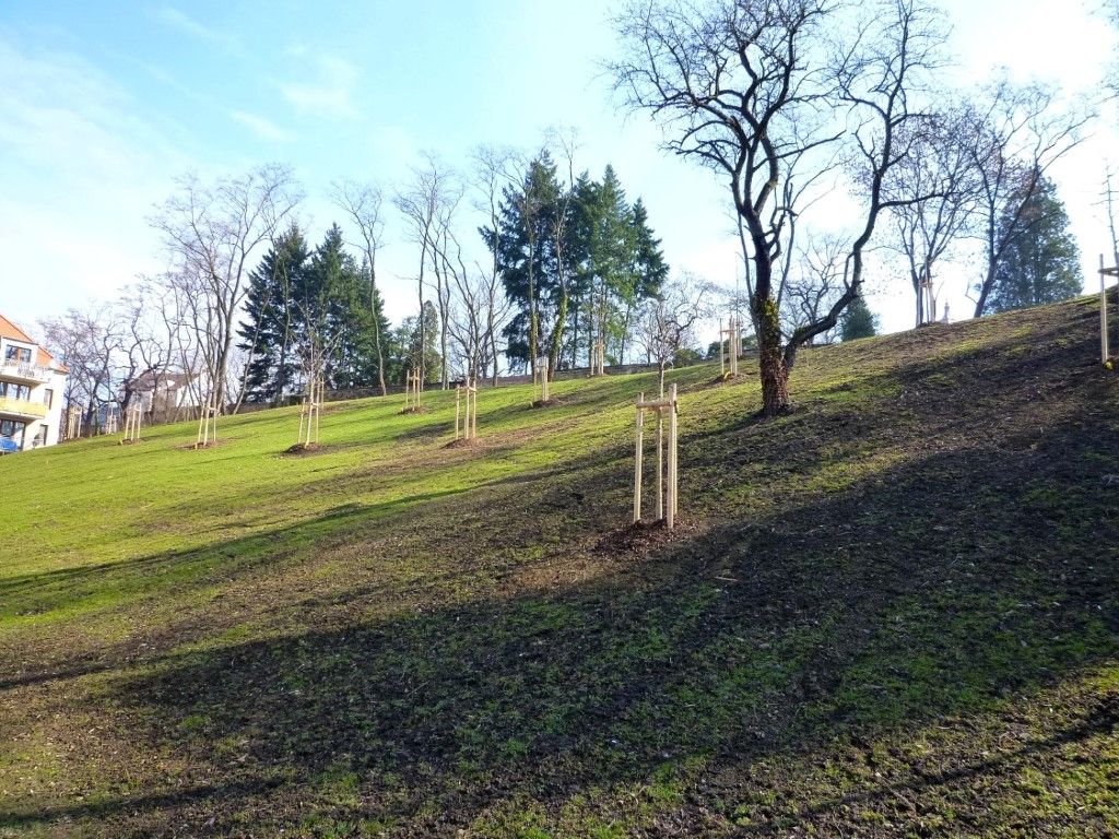 obrázek: Plzeňský park U Ježíška čekají další úpravy 