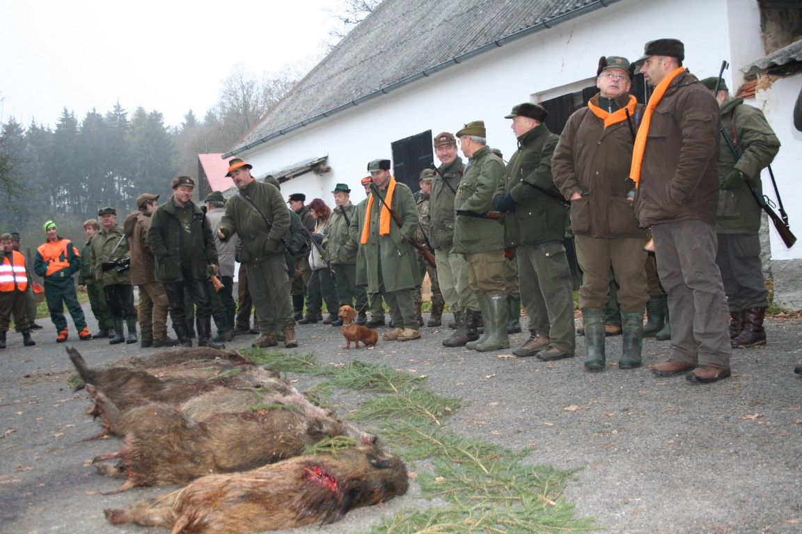 obrázek: Rokycanské městské lesy zakončily sezonu lovem