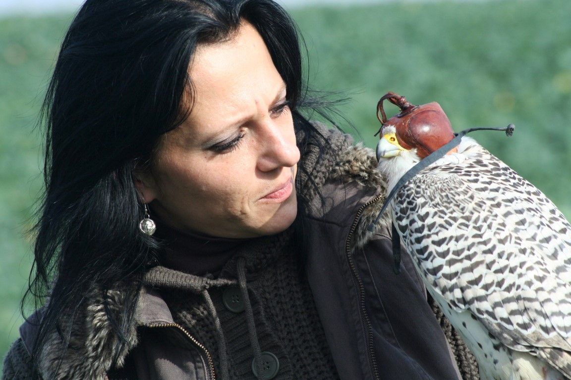 obrázek: Rokycanští sokolníci lovili bažanty kolem Drozdova