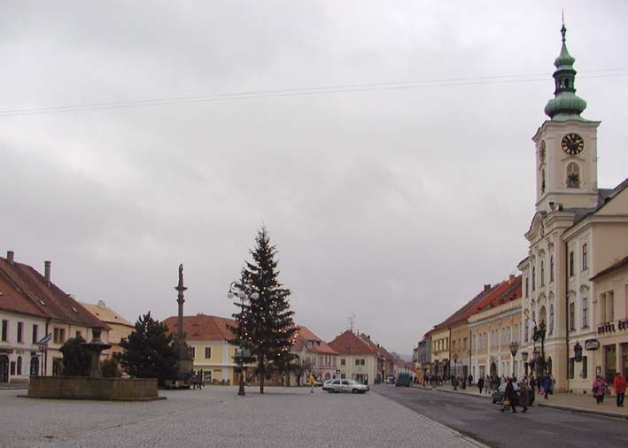 obrázek: Rokycanský byt navštívil chmaták