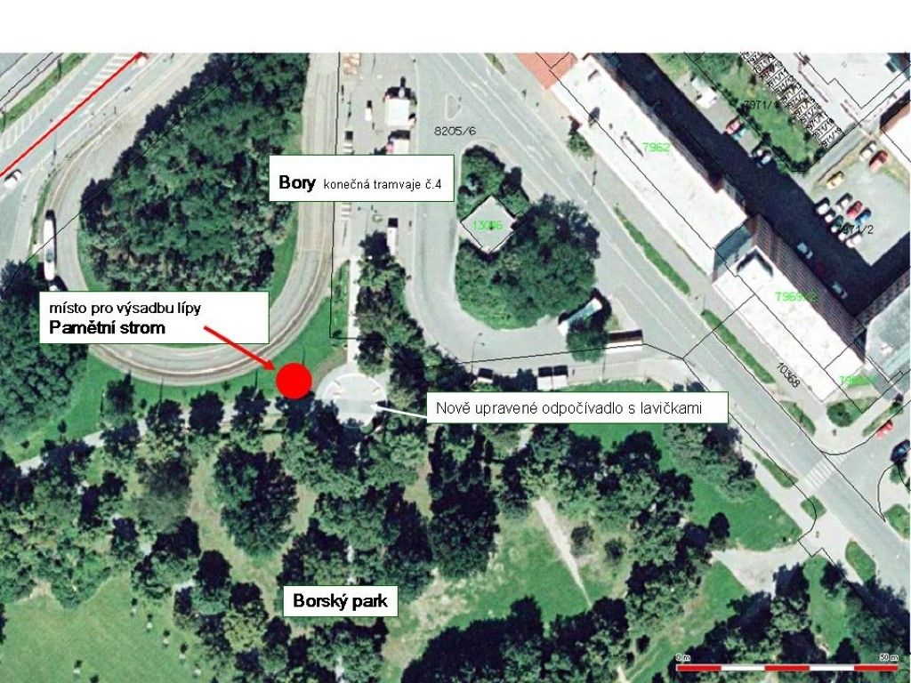 obrázek: Senioři z Regensburgu zasadí v pátek v Plzni strom