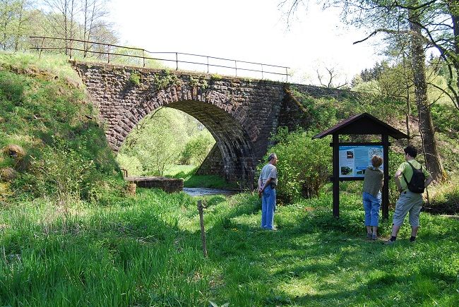 obrázek: Dobrovolníci zvelebovali trať do Bezdružic