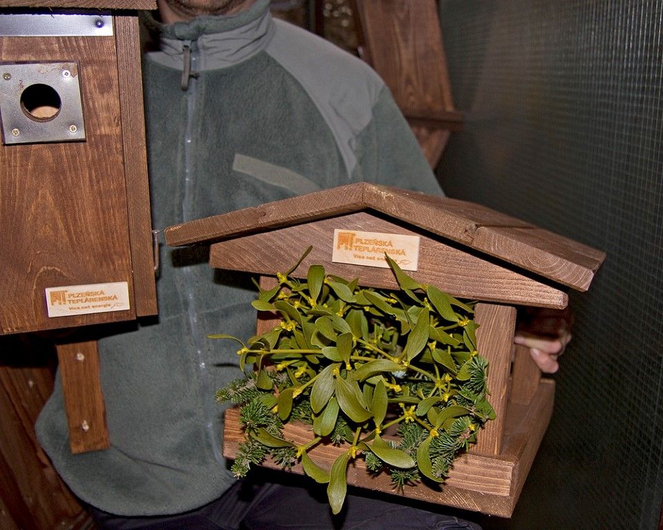 obrázek: Zvířecí záchranáři v Plzni rozdají budky. Mají i kameru