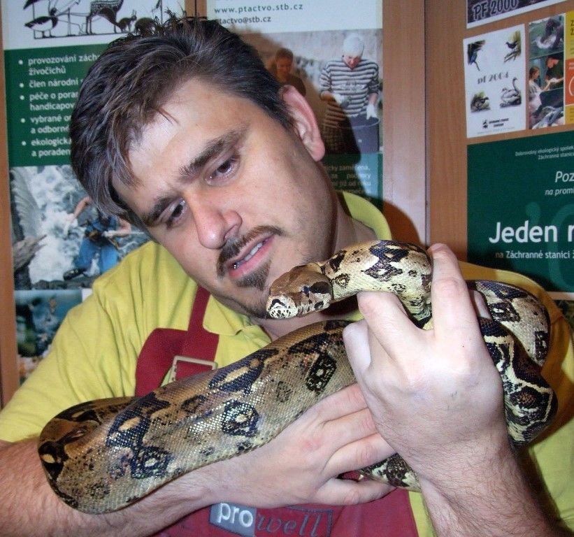 obrázek: Zvířecí záchranáři varují: Nákup živého dárku zvažte!