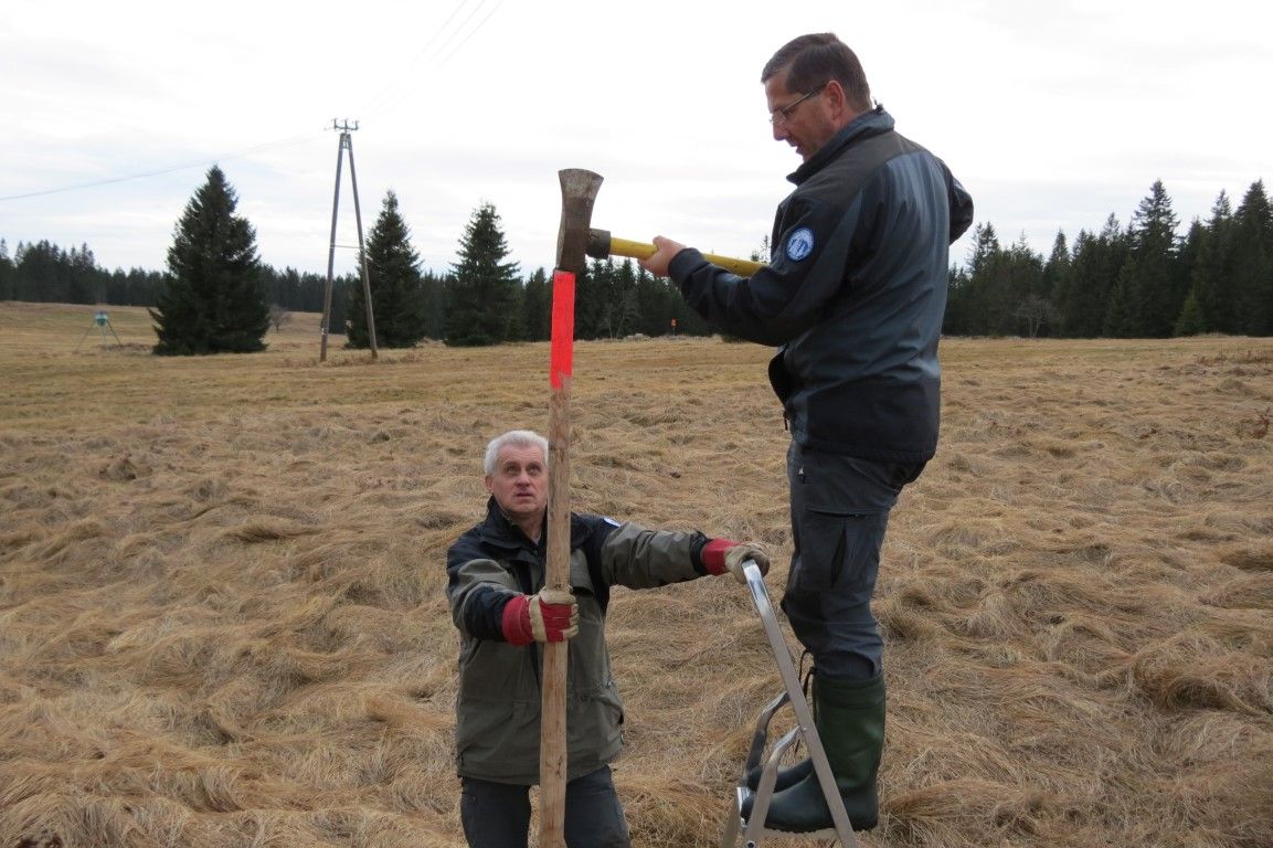 obrázek: Bílá stopa na Šumavě bude i letošní zimu bezplatná