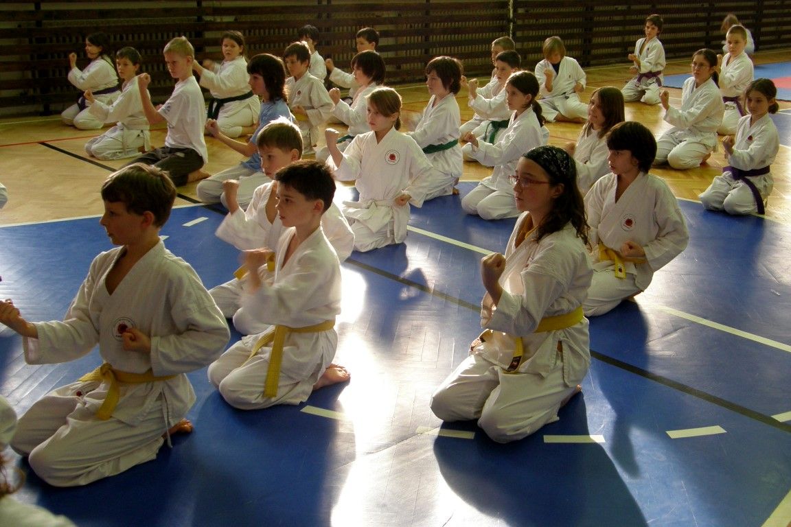 obrázek: Bojovníci z Naramy cvičili v Nečtinech okinawské karate