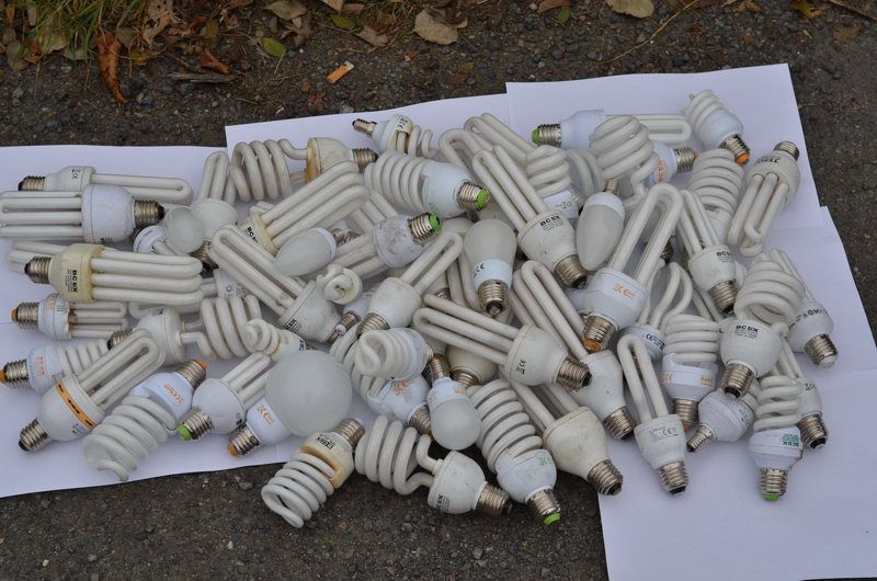 obrázek: Češi loni sebrali o 11 % více úsporných žárovek: 801 tun 