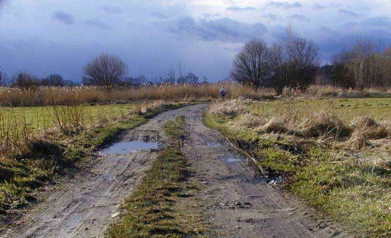obrázek: Za hřištěm na Nové Hospodě má vzniknout přírodní park