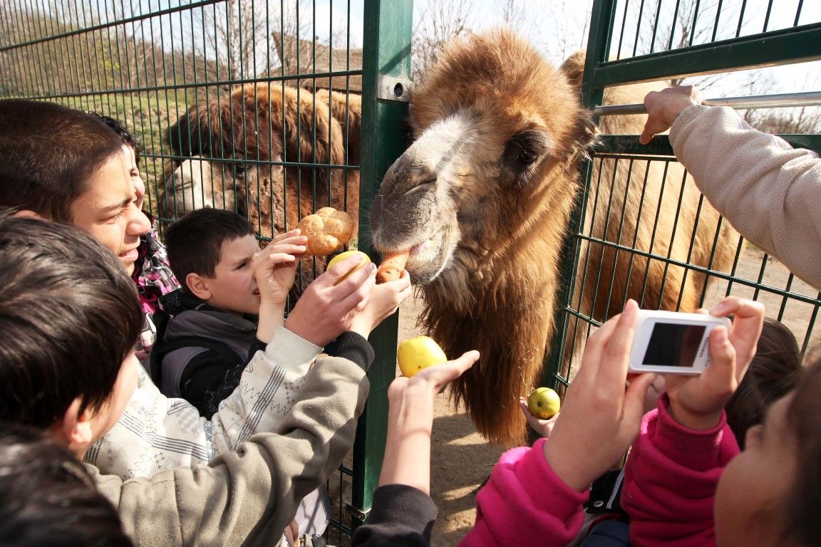 obrázek: Děti z dětských domovů přivítaly jaro v zoologické zahradě