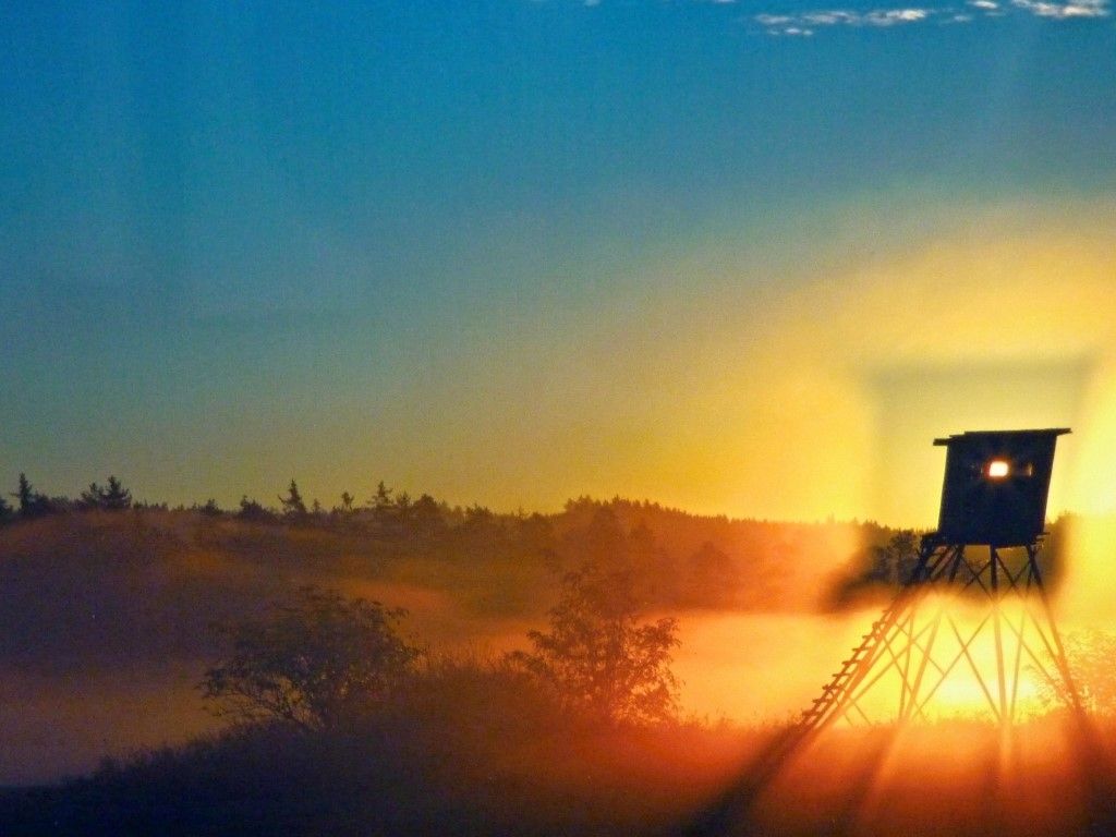obrázek: Fotosoutěž kraje vyhrál snímek Přeštická jitřenka