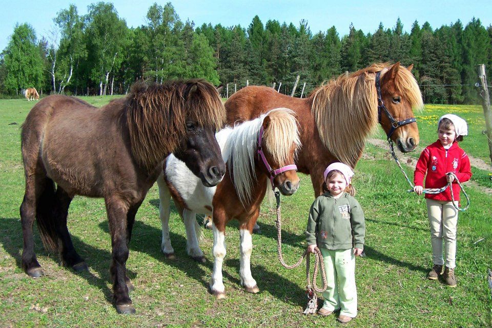 obrázek: Fotosoutěž Pohled z koňského sedla se blíží ke konci