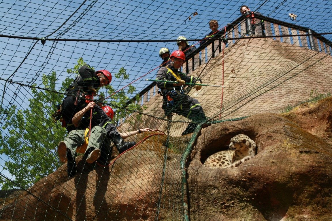 obrázek: Hasiči v plzeňské zoo zachraňovali levharta