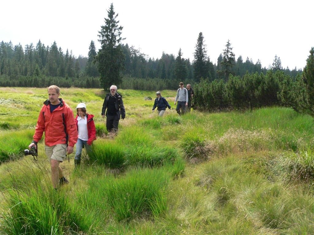 obrázek: I letos se můžete na Šumavě vydat s průvodci za divočinou