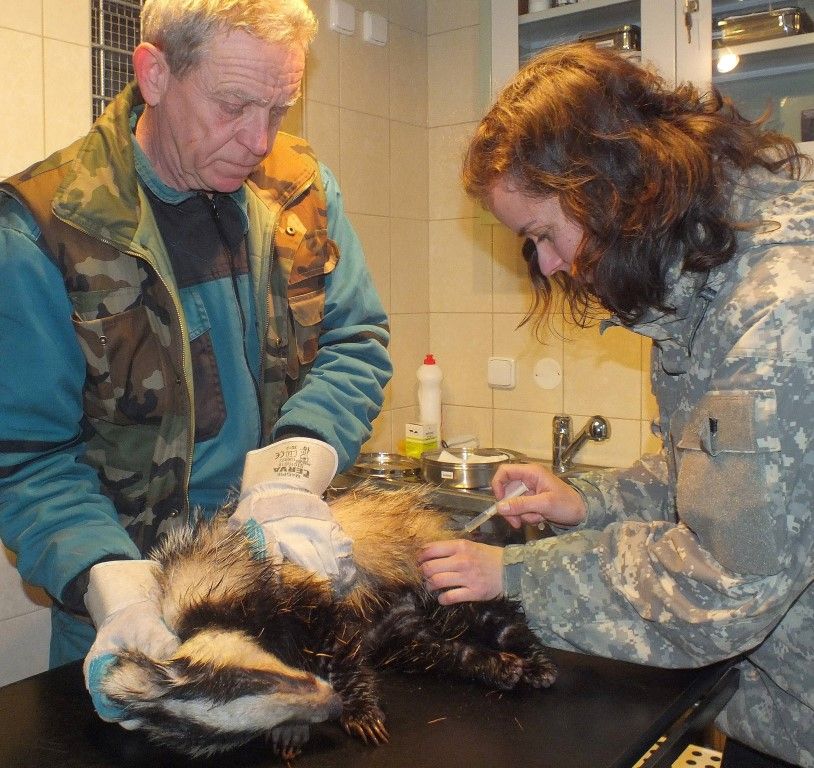obrázek: Konec roku záchranářů zvířat: Ježek v pasti i sražený sýc 