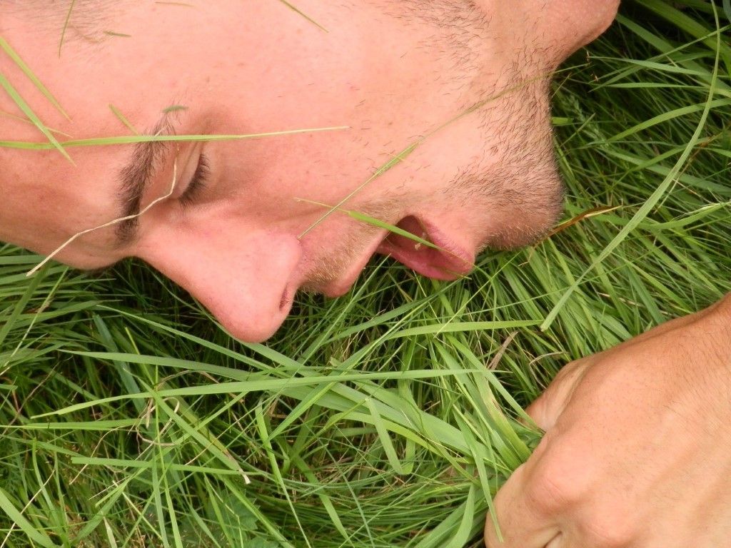 obrázek: Krajina u Dolních Polžic se otevře divadlu 