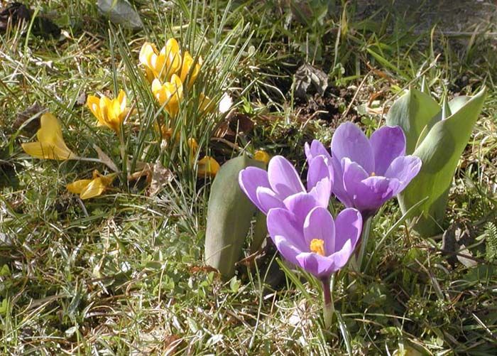 obrázek: Do Bavorska pro rady jak na školní zahrady 