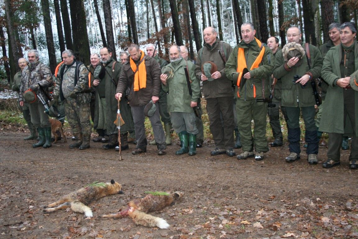 obrázek: Lovecká sezóna je v plném proudu, lovili i Rokycanští