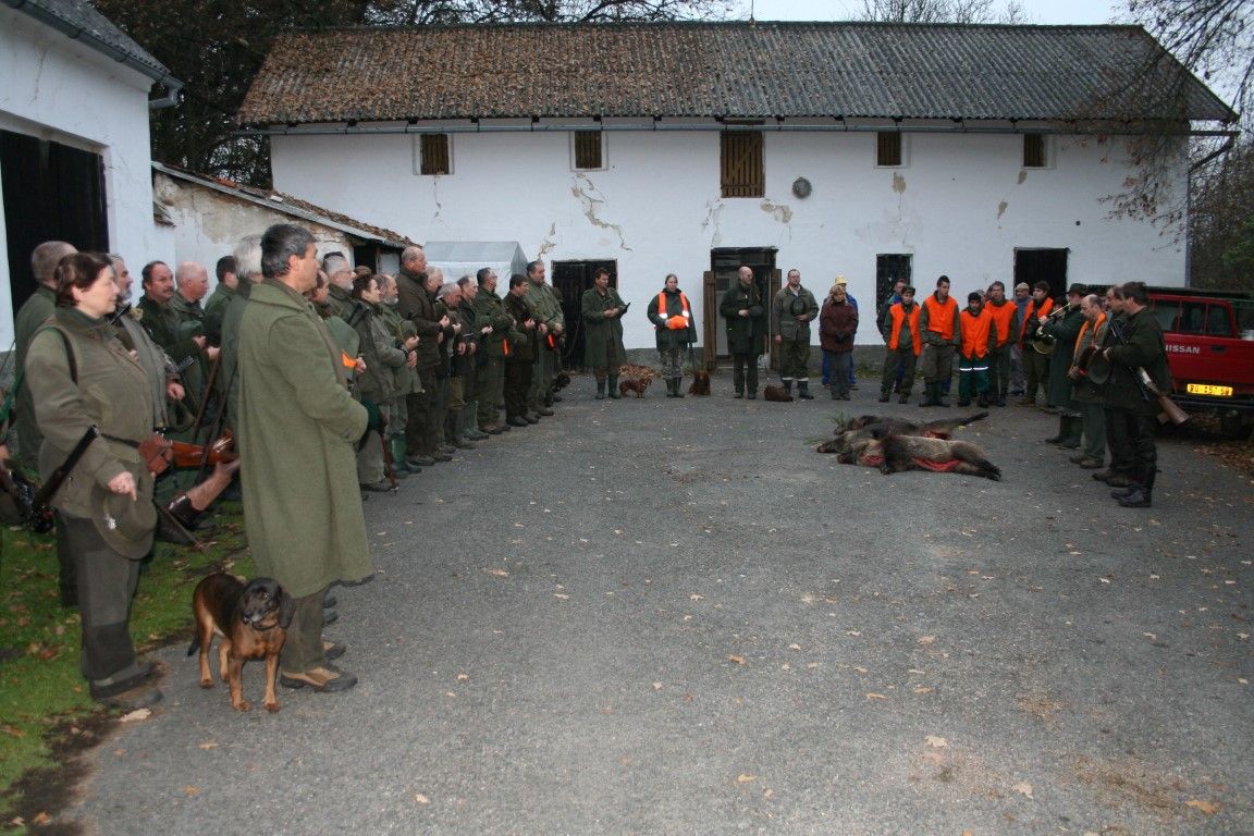 obrázek: Městské lesy Rokycan pořádají naháňky