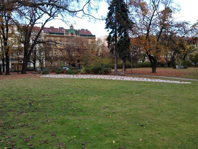 obrázek: Na náměstí Míru v Plzni byly vysazeny nové růže