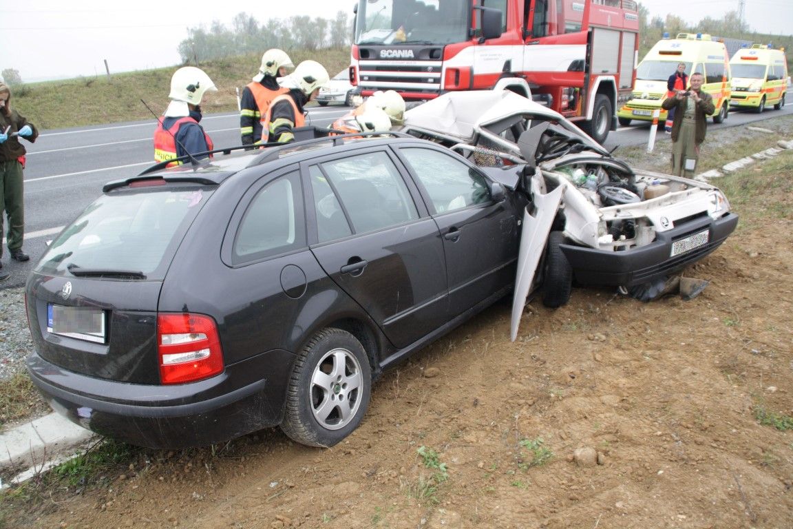 obrázek: Nehoda u Třemošné si vyžádala život řidiče a psa