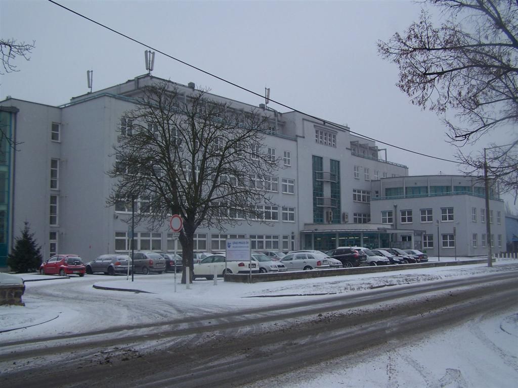 obrázek: Největším problémem při hledání práce je němčina