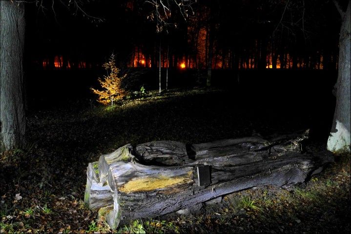 obrázek: Noční návštěva parku v Chodové Plané okem fotografa