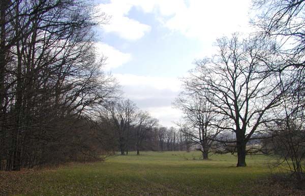 obrázek: Ženu se prý pokusili znásilnit v Borském parku