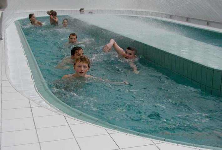 obrázek: Peníze z přebytku rozpočtu Plzně půjdou na modernizaci bazénu i tropický pavilon