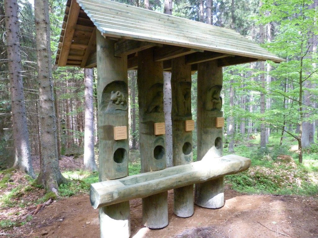 obrázek: Přijeďte do nového Areálu lesních her do Stožce