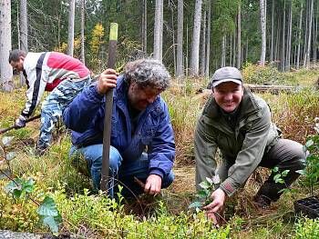 obrázek: Přijeďte v sobotu zasadit strom a pomoci zelené Šumavě