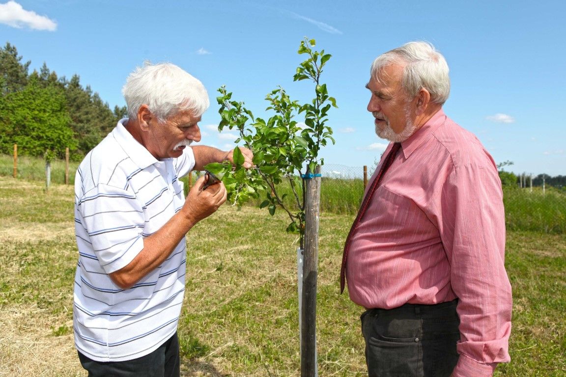 obrázek: Projekt Tisíc stromků pro Plzeňský kraj byl zahájen